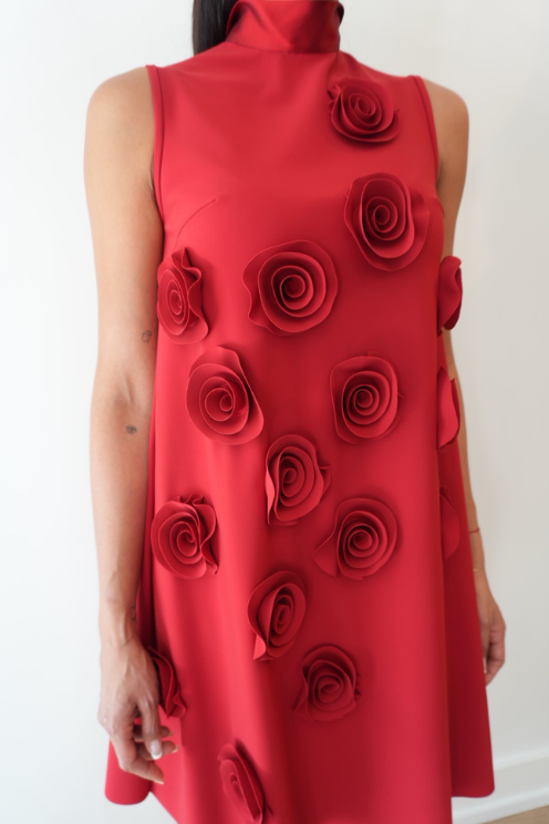 Quince Rose Dress