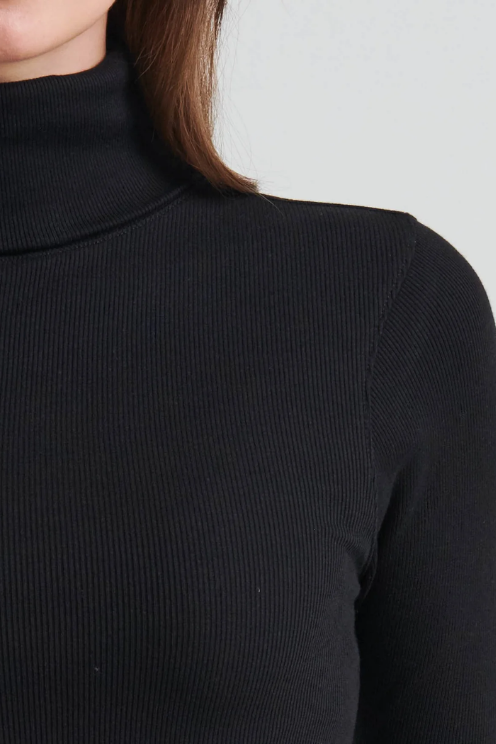 Cotton Modal Rib Turtle Neck