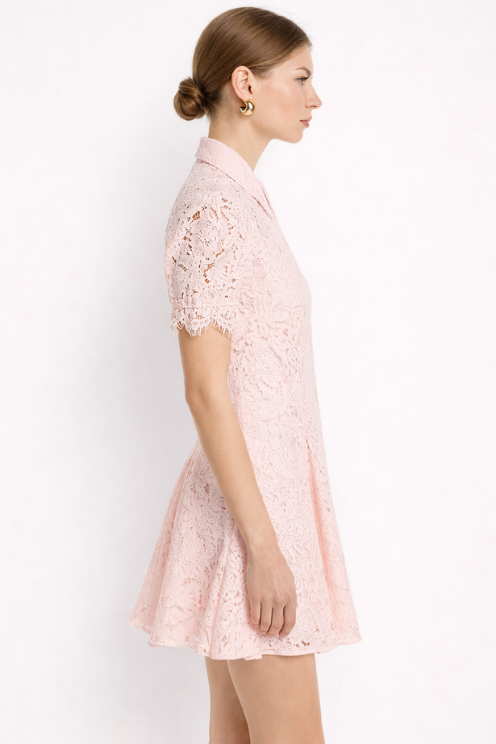 Swanetta Lace Dress