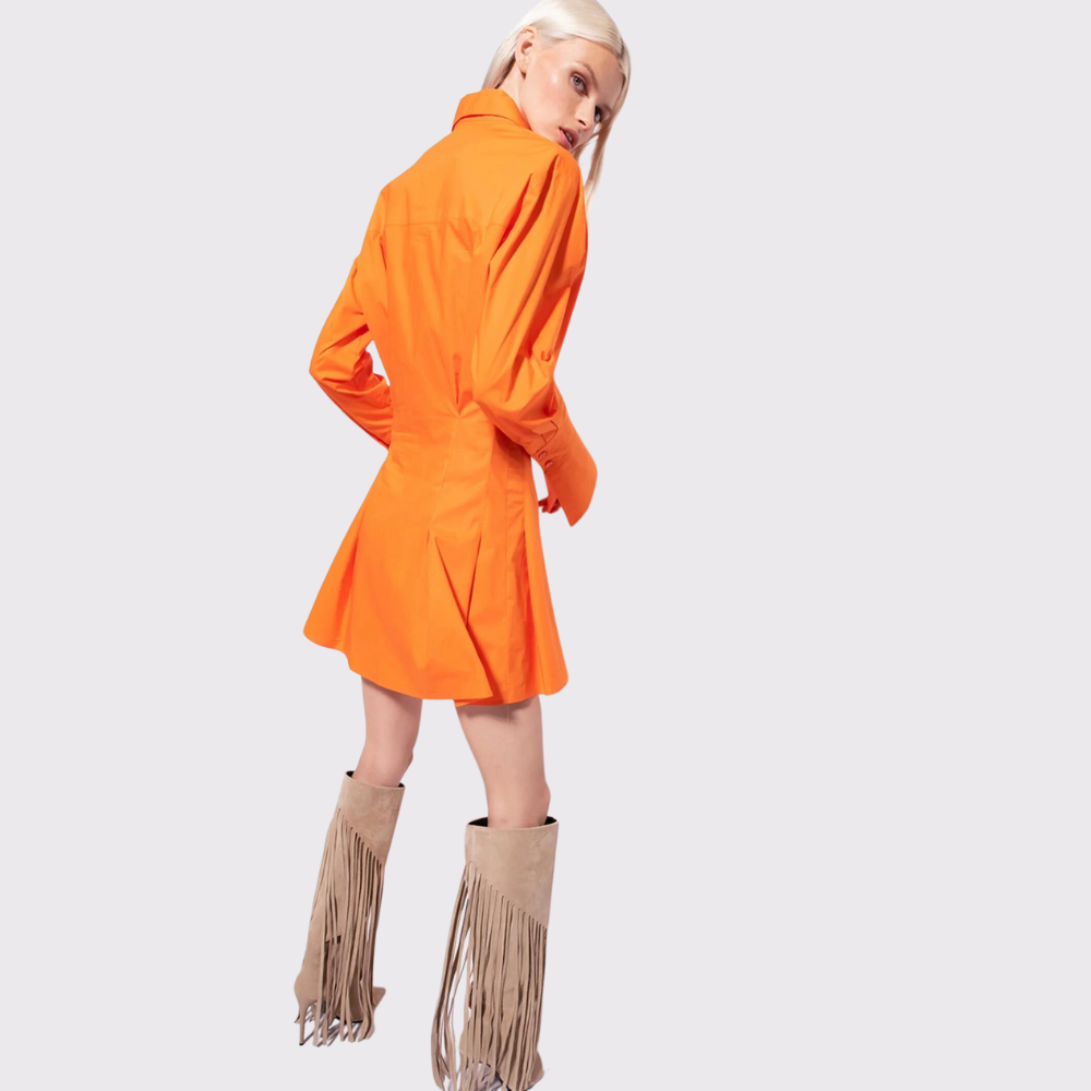 Pinko 2025 shirt dress