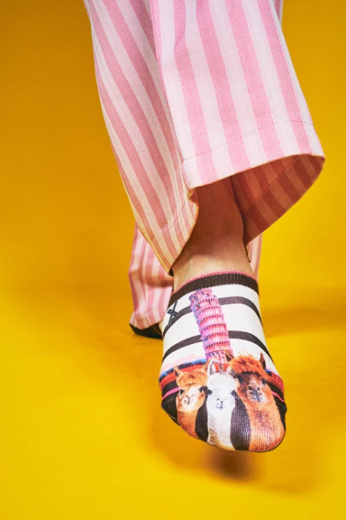 Pisa No-show Sock