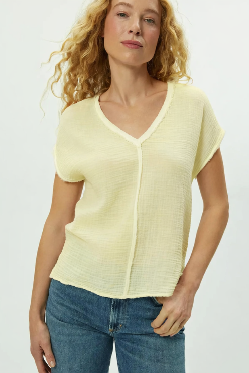Draya Gauze V-Neck Top