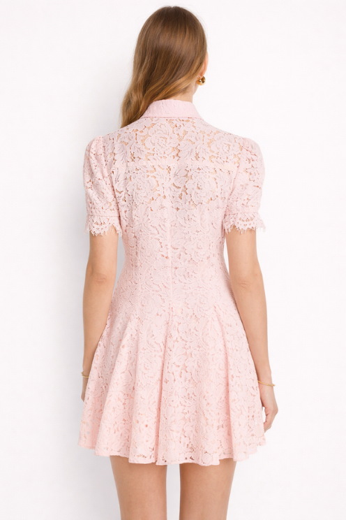 Swanetta Lace Dress