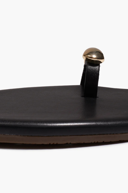 Colette - Black & Gold