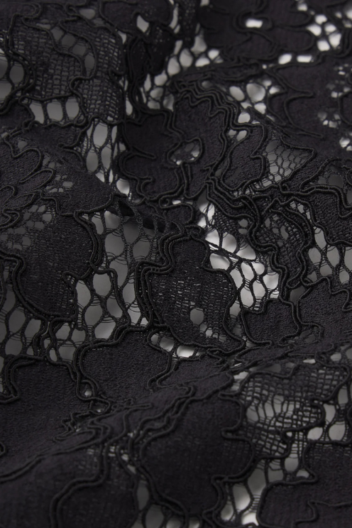 The Lace blouse