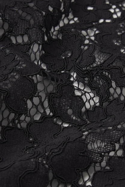 The Lace blouse
