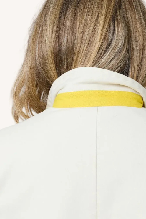 Workday Love Rises to the Top Blazer