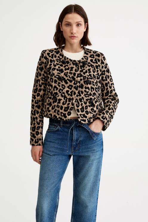 Collarless DB Mini Jacket