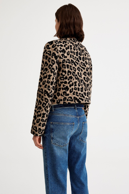 Collarless DB Mini Jacket