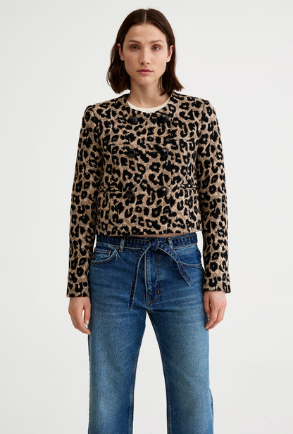 Collarless DB Mini Jacket